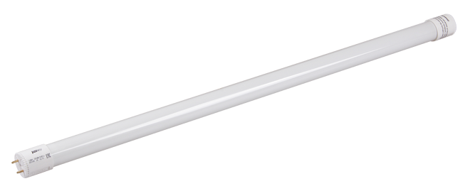 Лампа светодиодная трубчатая PLED T5 - 600GL 8w FROST 6500K 230V/50Hz (стекло) | .5016040 | Jazzway