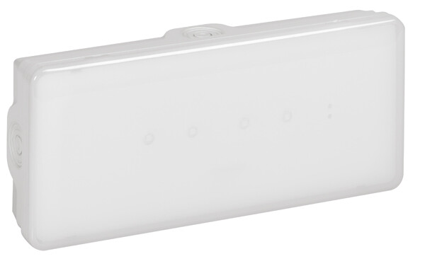 Погодоустойчивый светодиодный эвакуационный светильник B65 LED 1 час - 100 Лм постоянного/непостоянного действия | 661431 | Legrand